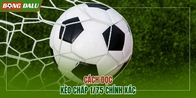 Cách đọc kèo chấp 1/75 chính xác