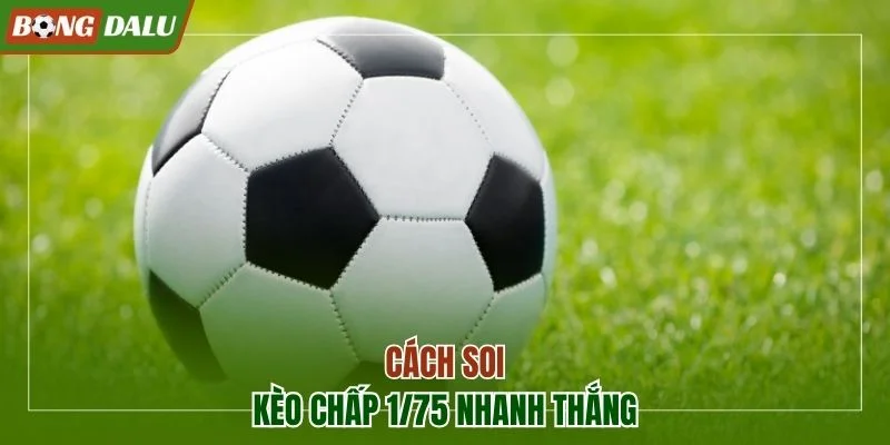 Cách soi kèo chấp 1/75 nhanh thắng