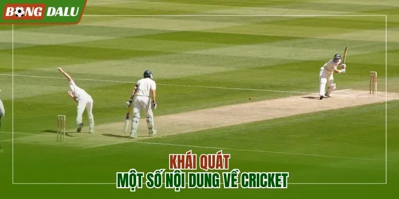 Chia sẻ một số nội dung về Cricket