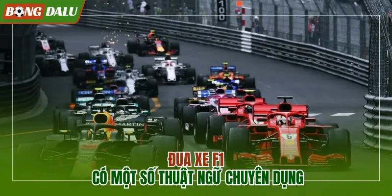 Đua xe F1 và một số thuật ngữ chuyên dụng