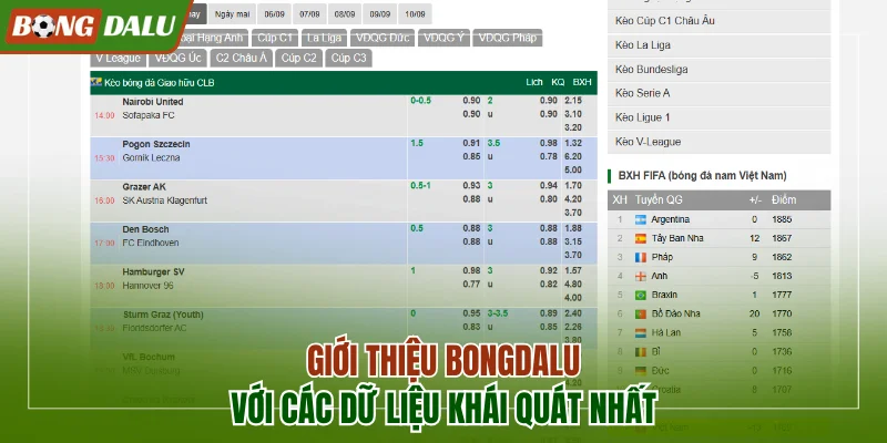 Giới thiệu Bongdalu với các dữ liệu khái quát nhất