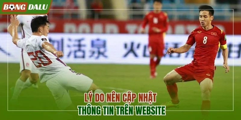 Lý do nên cập nhật thông tin trên websiteBongdalu