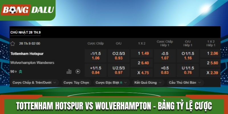Soi kèo Tottenham Hotspur vs Wolverhampton - bảng tỷ lệ kèo