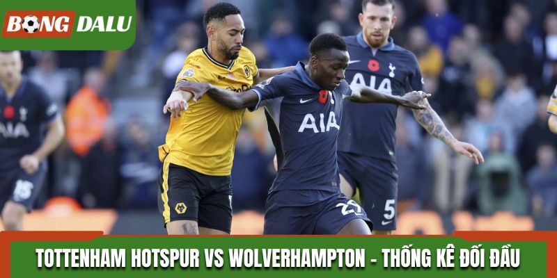 Soi kèo Tottenham Hotspur vs Wolverhampton - thống kê kết quả đối đầu