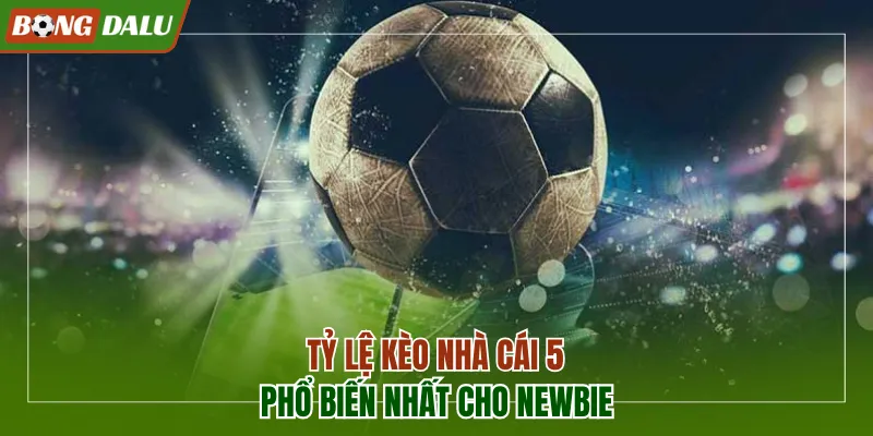 Tỷ lệ kèo nhà cái 5