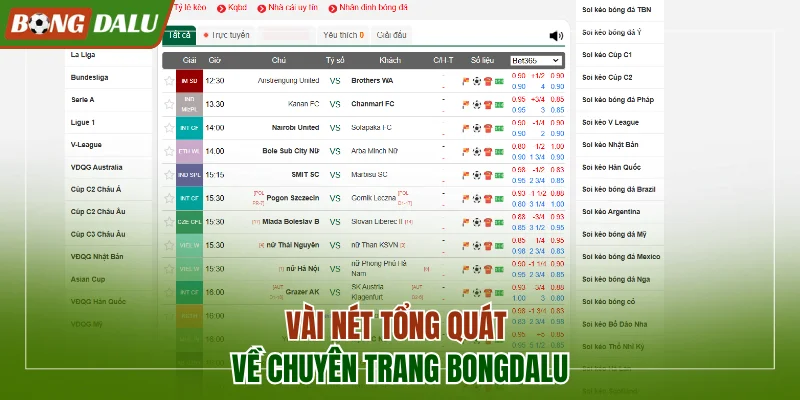 Vài nét tổng quát về chuyên trang Bongdalu
